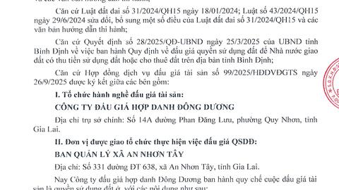 Thông tin từ công ty đấu gia hợp danh Đông Dương